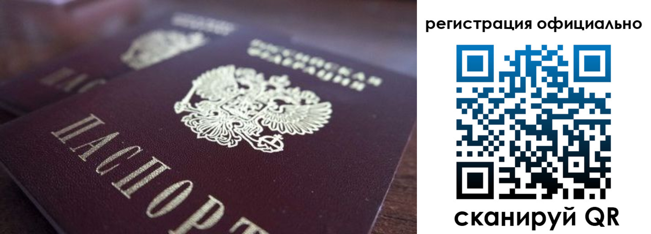 временная регистрация поиск в Димитровграде